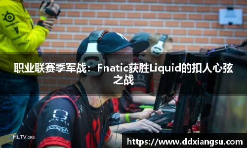 职业联赛季军战：Fnatic获胜Liquid的扣人心弦之战